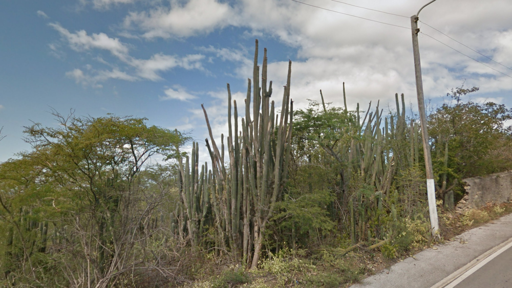 curacao-Landscape-1