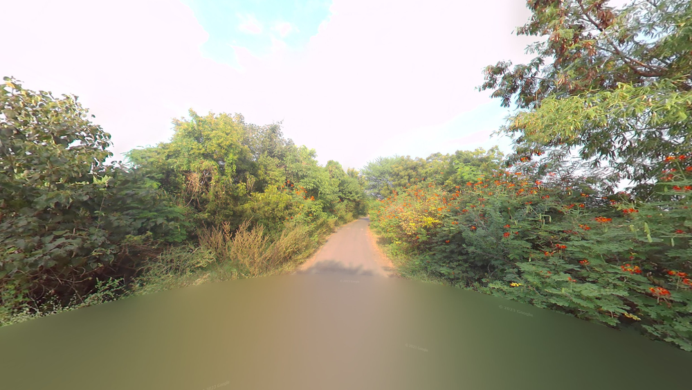 india-Google Car-1