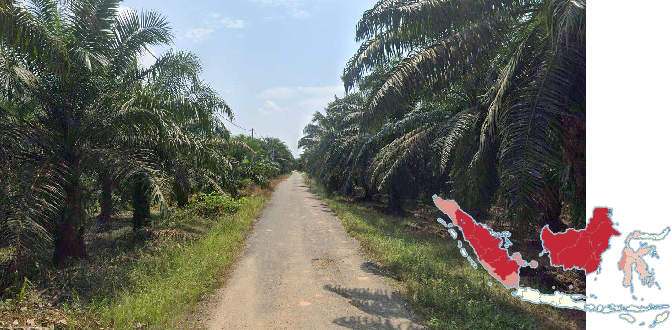 indonesia-Landscape-1