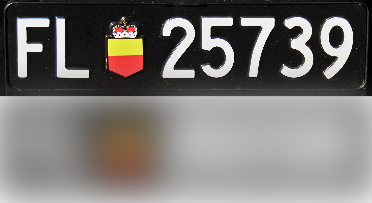 liechtenstein-License Plate-1