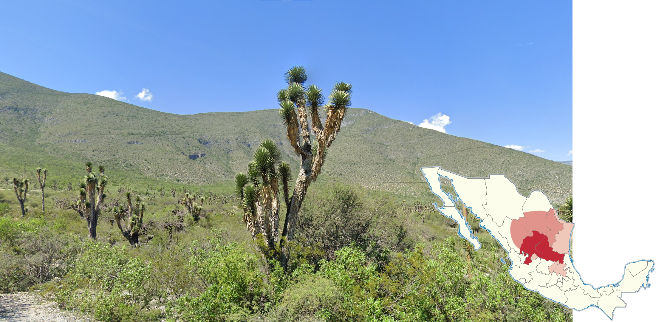 mexico-Landscape-1