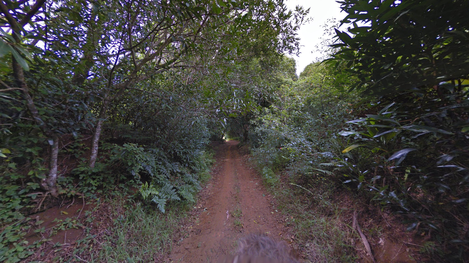 pitcairn-islands-Landscape-1