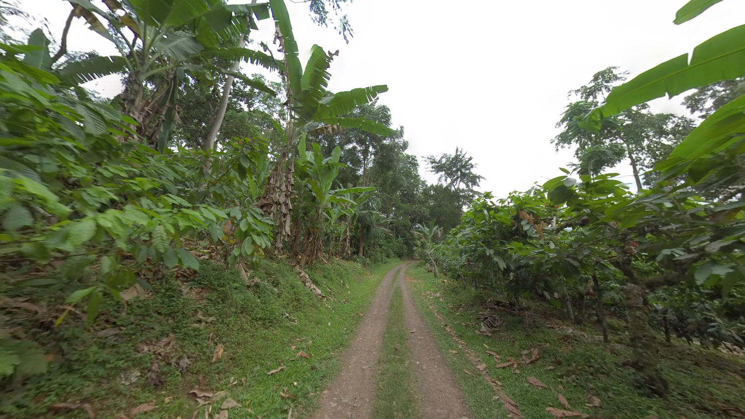 sao-tome-and-principe-Landscape-1