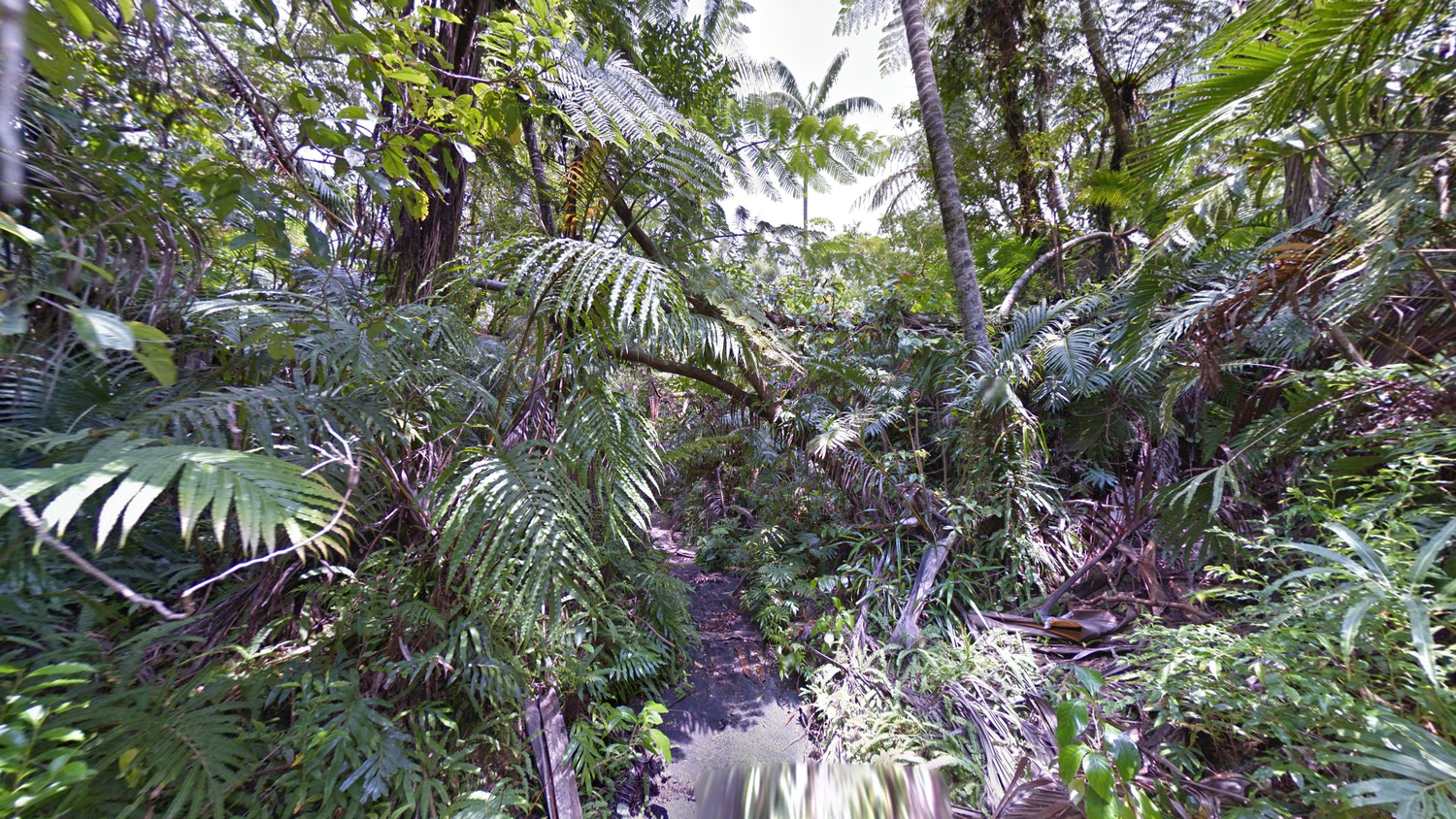 vanuatu-Landscape-1